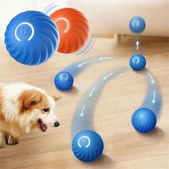 Smart Dog Ball Toy
